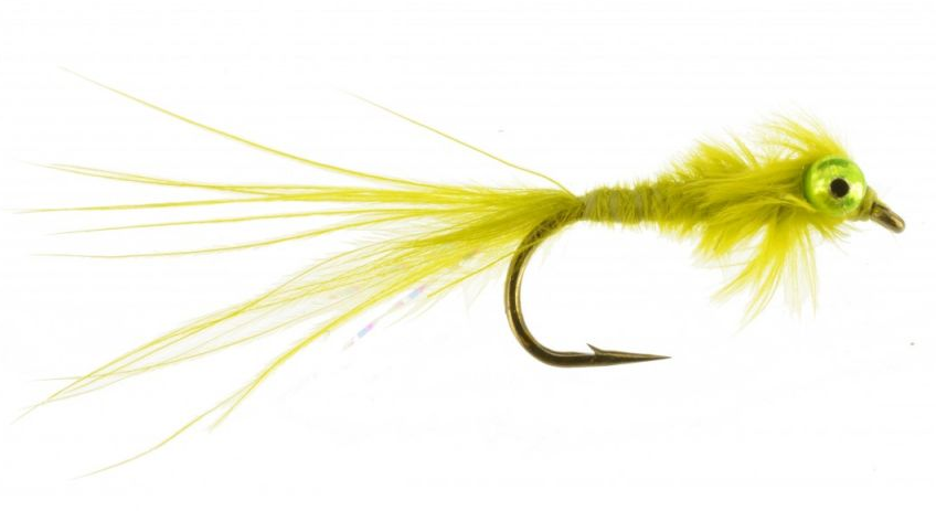Twisted Damsel Olive - Click Image to Close